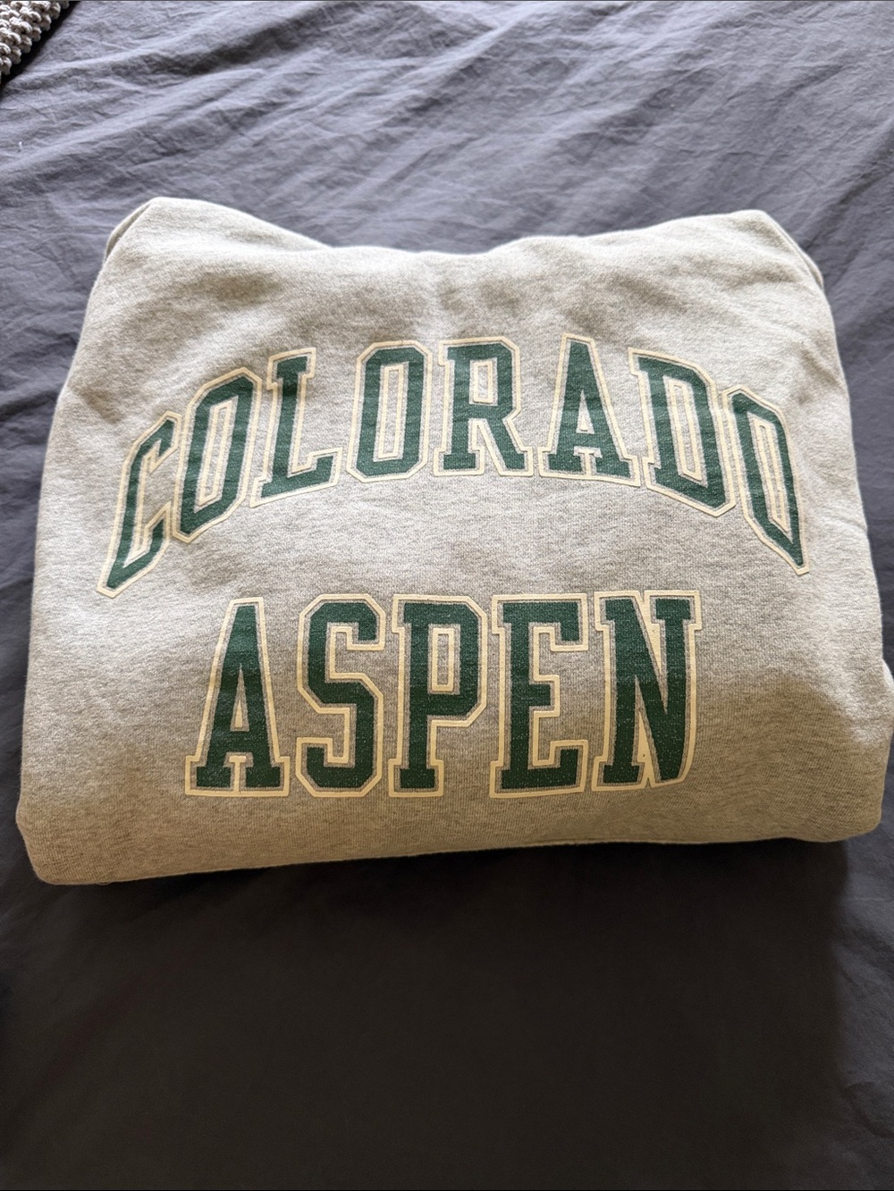 Colorado Aspen Grey Hoodie